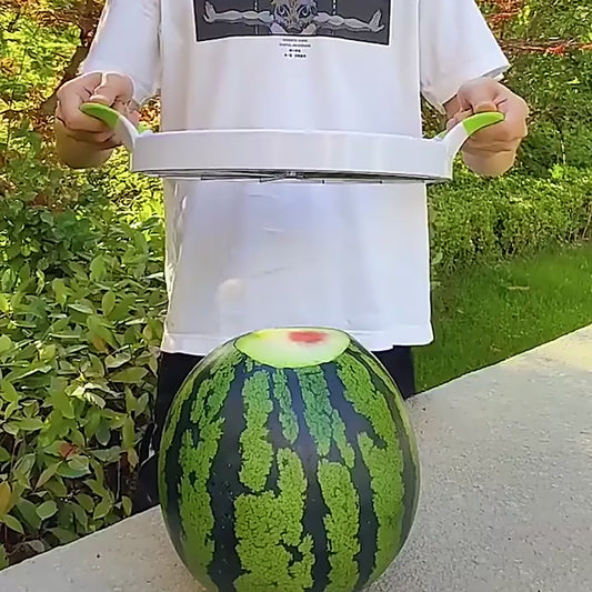 SwipeCart™ Stainless Steel Watermelon Cutter Melon Slicer
